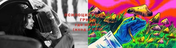 spice Няндома