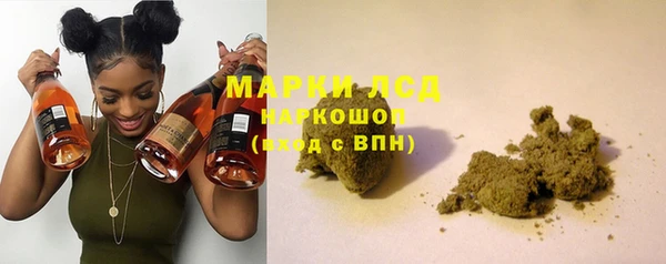 spice Няндома