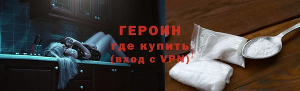 гидра Богородск
