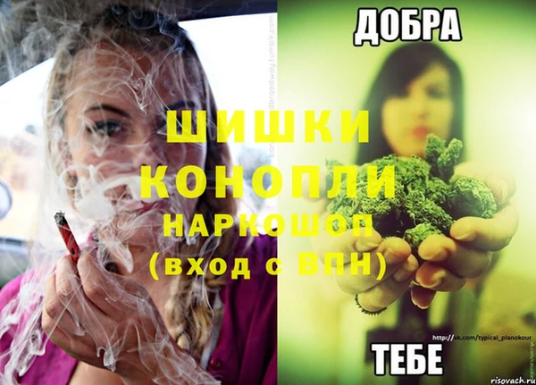 ALPHA-PVP Осинники