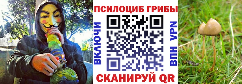 Галлюциногенные грибы мухоморы  ссылка на мегу ссылка  Кирс  сколько стоит 